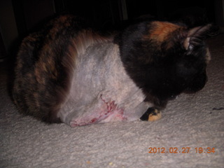 Maria after surgery