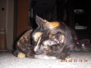 Maria after surgery