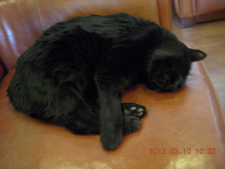 Adam after running in the cold snow at Flagstaff Airport (FLG) - ice in beard
