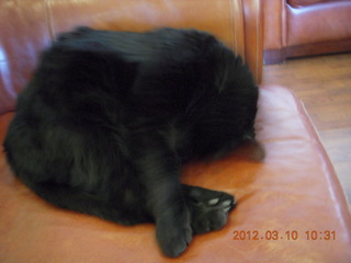 Julia at Flagstaff Airport (FLG)