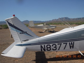 burnt-smelling bird poop on N8377W engine