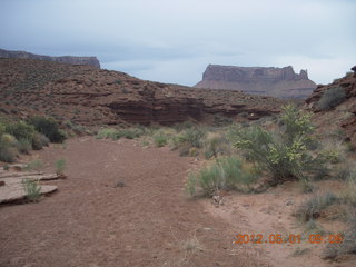 133 7x1. Canyonlands Murphy hike