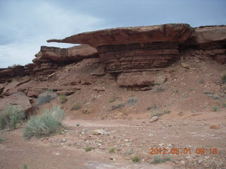 Canyonlands Murphy hike - Can you find the lizard?