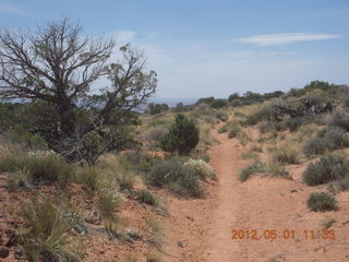 174 7x1. Canyonlands Murphy hike