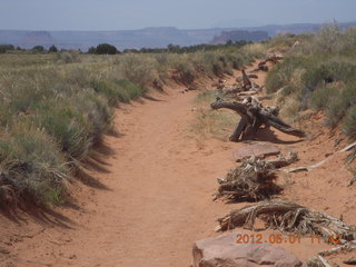 Canyonlands Murphy hike