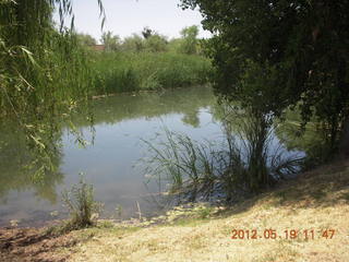 Bouquet Ranch - pond