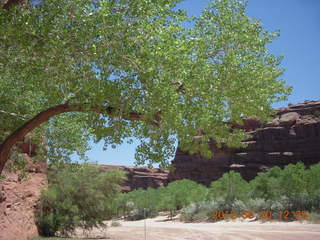 Thunderbird Lodge