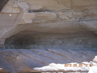 Canyon de Chelly tour - horses