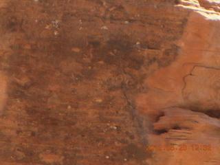 Canyon de Chelly tour - petroglyphs