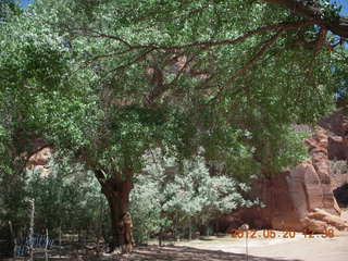 Canyon de Chelly tour