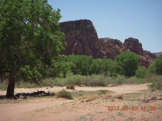 Canyon de Chelly tour - petroglyphs