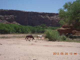 Canyon de Chelly tour