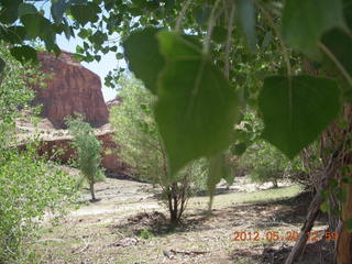 Canyon de Chelly tour - horses