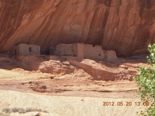 Canyon de Chelly tour - horses