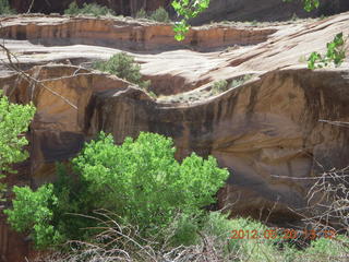 Canyon de Chelly tour