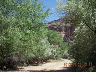 Canyon de Chelly tour