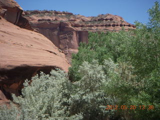 Canyon de Chelly tour - ancient dwellings