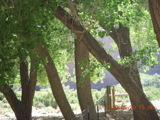 Canyon de Chelly tour - another tour vehicle