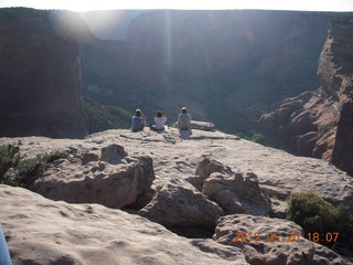 Spider Rock viewpoint - lizard