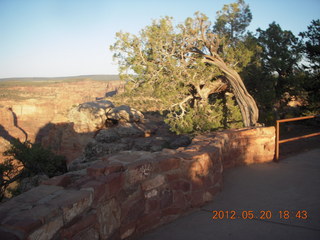 Spider Rock viewpoint