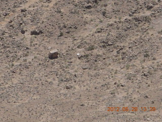 meteor crater plants