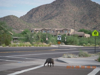 Tony's picture of N8377W at Nokai Dome airstrip
