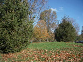 Holmdel park, Shore AC XC cross-country