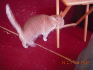 Durango-Silverton railroad picture