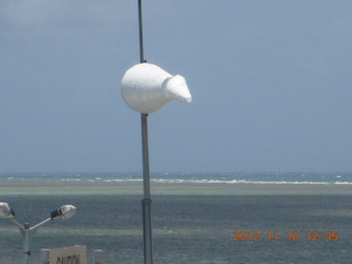 Great Barrier Reef tour - windsock on Green Island