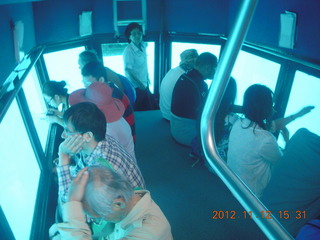 Great Barrier Reef tour - semi-sub