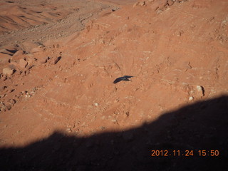 130 83q. Monument Valley tour - bird in flight