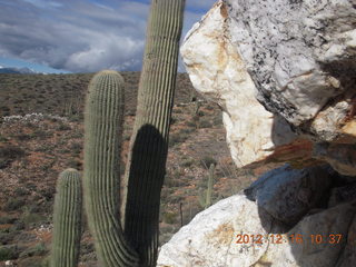 Bouquet Ranch -  cactus and Quartz