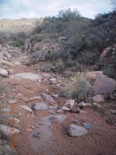 Bouquet Ranch -  Adam and Quartz