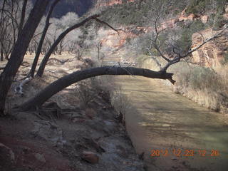 Zion National Park - Virgin River