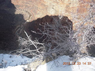 Zion National Park - Angels Landing hike - view from top