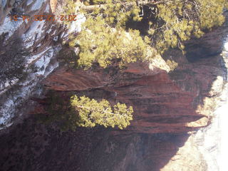 181 84p. Zion National Park - Angels Landing hike