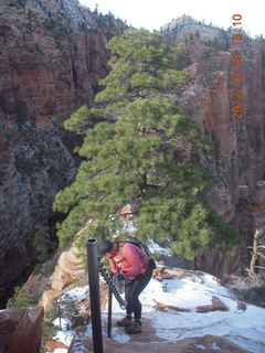 193 84p. Zion National Park - Angels Landing hike - Adam using chains