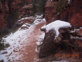 262 84p. Zion National Park - Angels Landing hike - West Rim trail