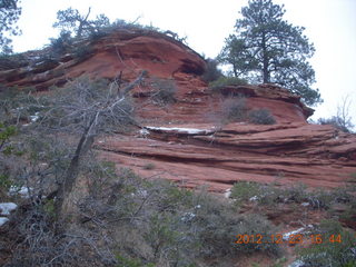 Zion National Park - Angels Landing hike - West Rim trail - lichens