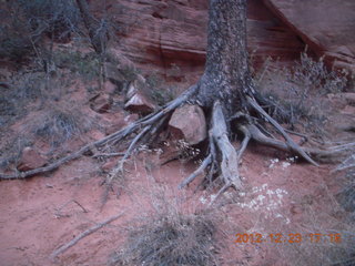 284 84p. Zion National Park - Angels Landing hike