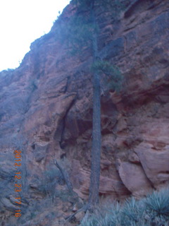 Zion National Park - Angels Landing hike - slippery Walter's Wiggles