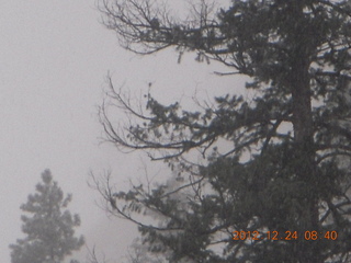 42 84q. Zion National Park - cloudy, foggy Observation Point hike