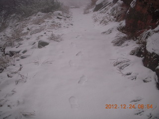 52 84q. Zion National Park - cloudy, foggy Observation Point hike - other guy's footprints