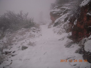 Zion National Park - cloudy, foggy Observation Point hike - icicles