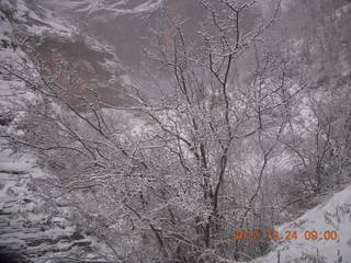 Zion National Park - cloudy, foggy Observation Point hike - footprints