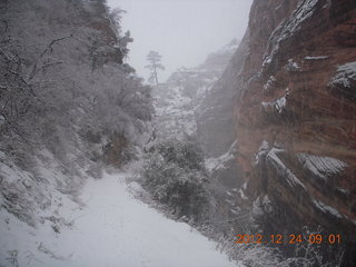 Zion National Park - cloudy, foggy Observation Point hike