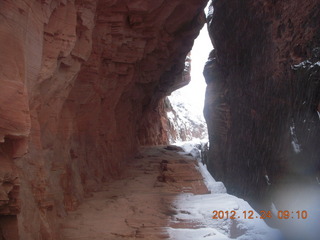 Zion National Park - cloudy, foggy Observation Point hike - Echo Canyon entrance