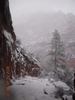 Zion National Park - cloudy, foggy Observation Point hike