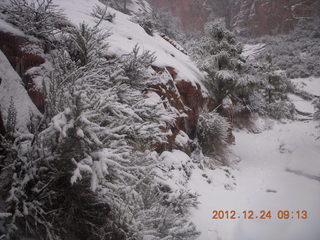 Zion National Park - cloudy, foggy Observation Point hike