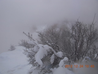 Zion National Park - cloudy, foggy Observation Point hike